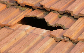 roof repair Saltfleetby St Clement, Lincolnshire